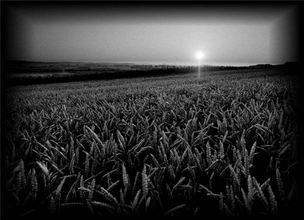 109aa0acb6da (1).jpg