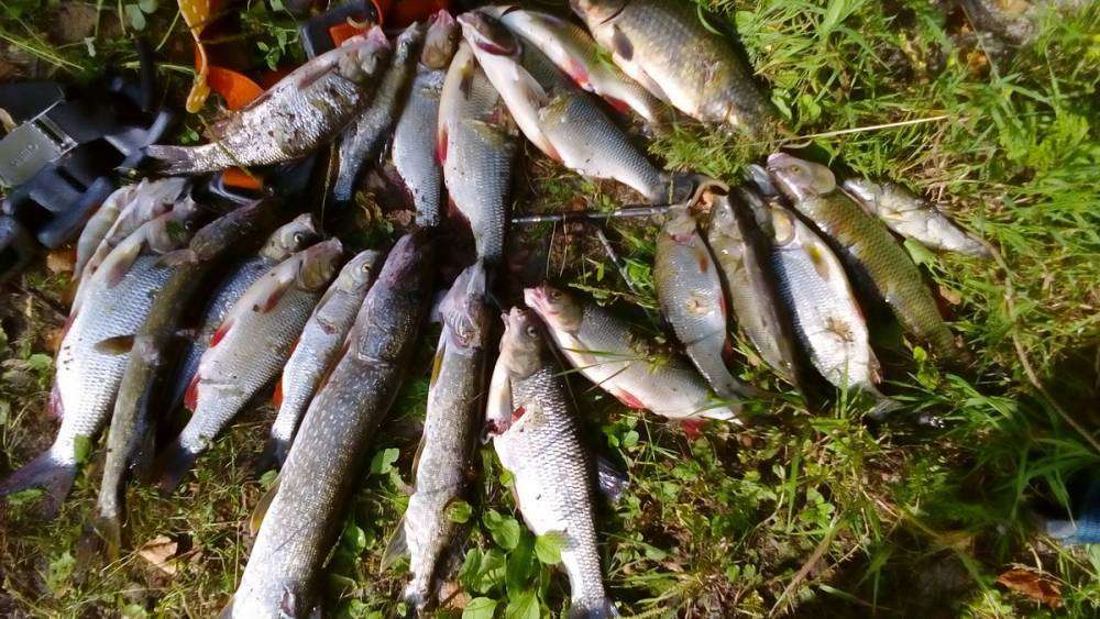 DSC_0050_новый размер.JPG