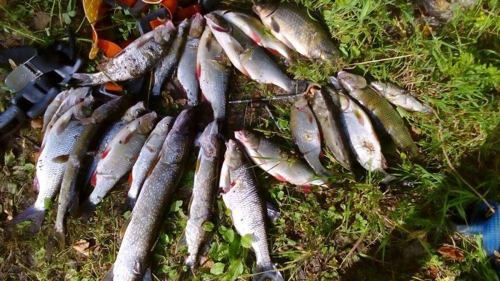 DSC_0051_новый размер.JPG