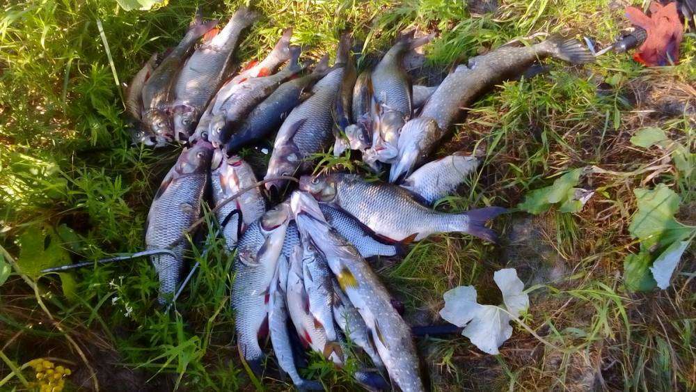 DSC_0062_новый размер.JPG