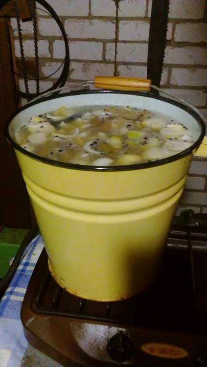 DSC_0063_новый размер.JPG