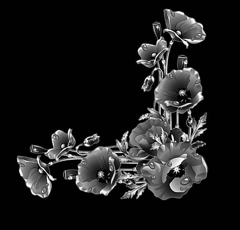 Маки уголок темные.jpg