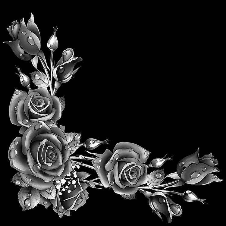 Розы уголок темные.jpg