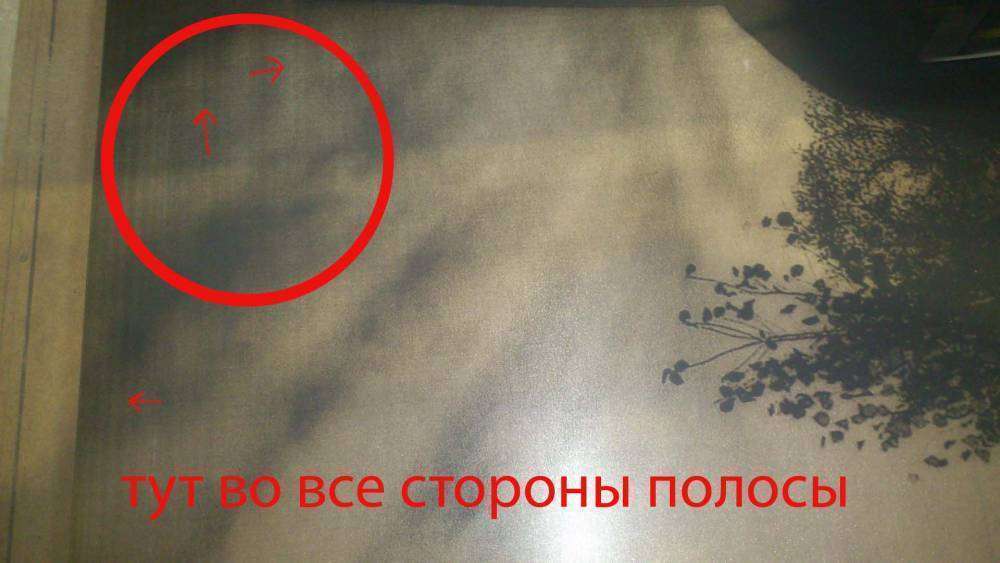 DSC_0422 копия.jpg