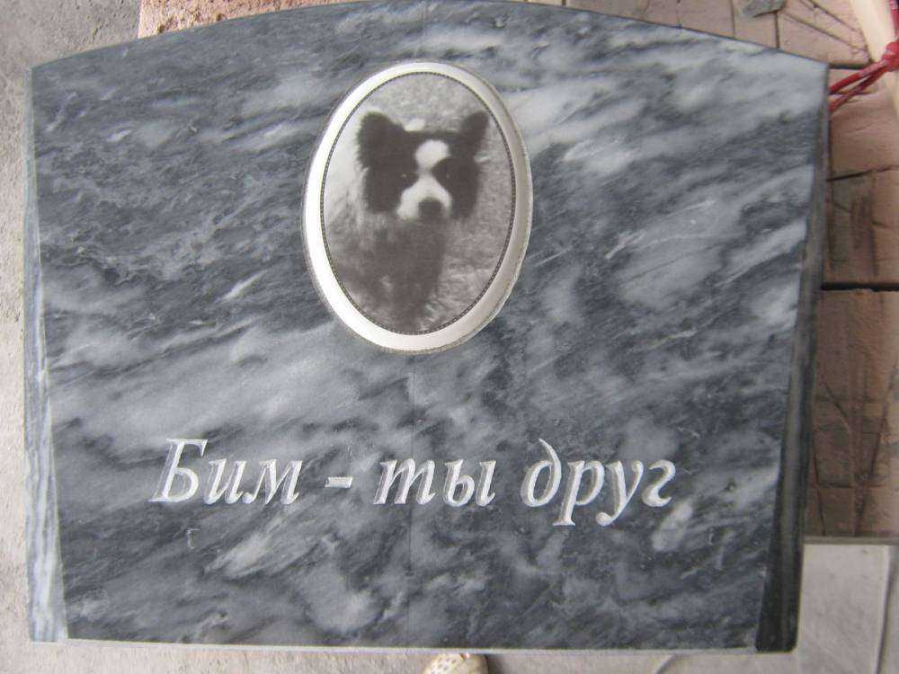 IMG_3970_новый размер.JPG