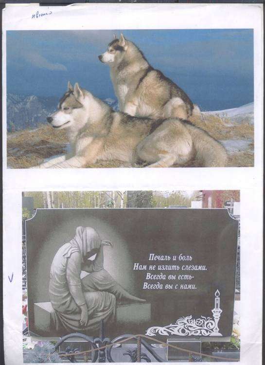 Лайки и икона исх.jpg