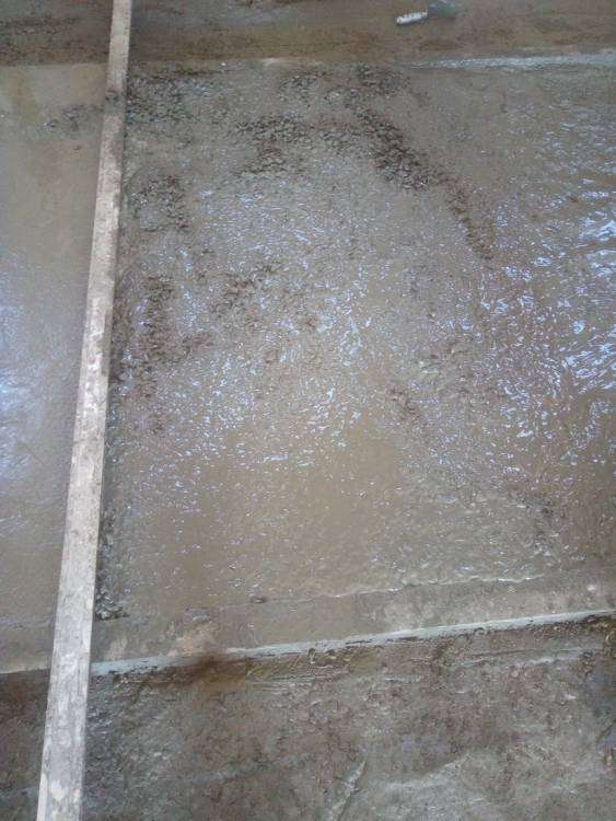 P_20170404_131816_новый размер.jpg