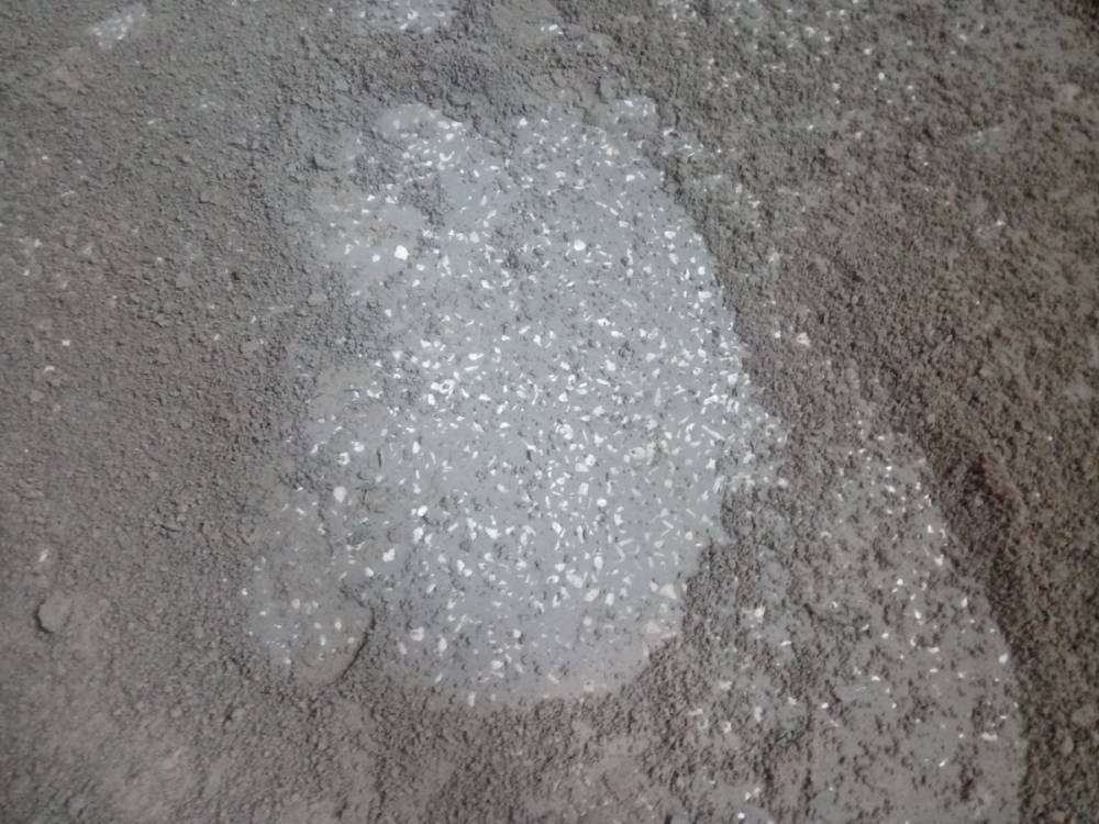 P_20170407_163430_новый размер.jpg