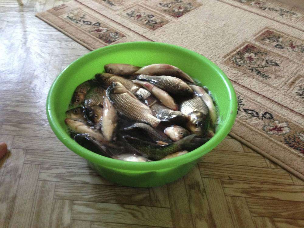 2017-05-01 17-44-29.jpg