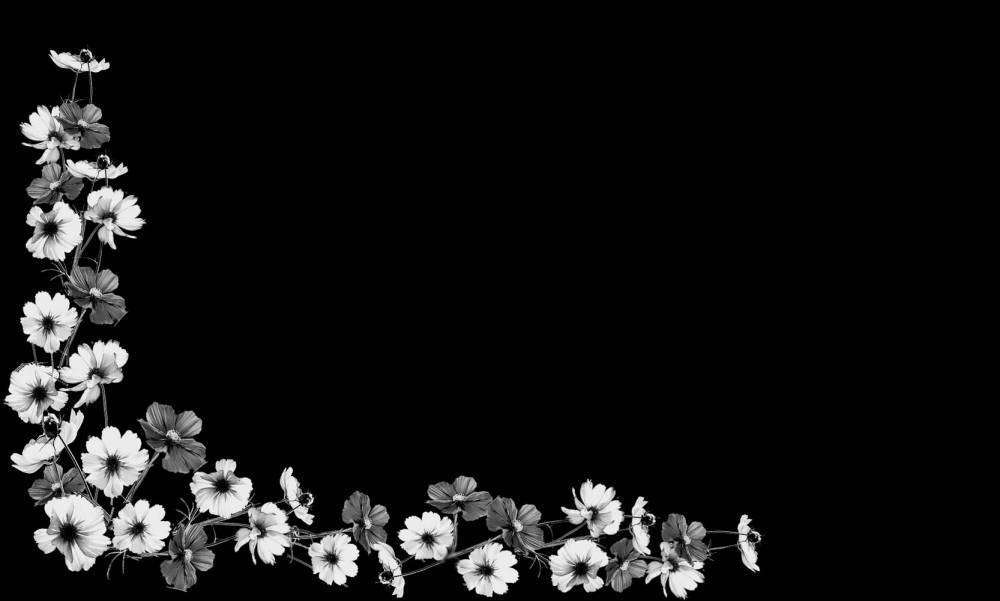 оформление касмея 2.jpg