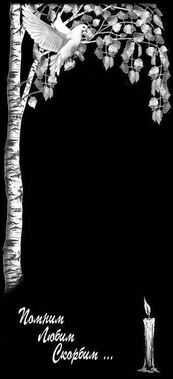 Береза без креста копия.jpg