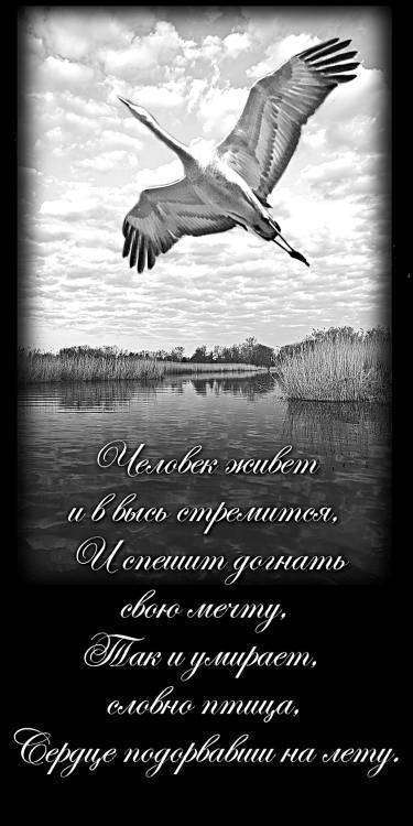 Журавль пейзаж.jpg