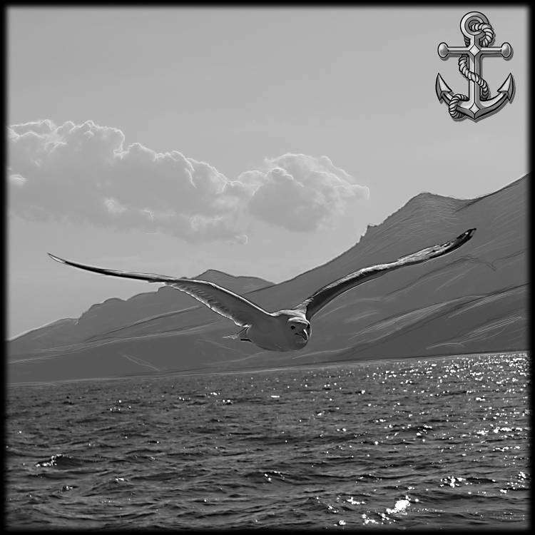 пейзаж муха.jpg