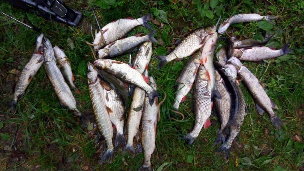 P_20170903_151738_новый размер.jpg