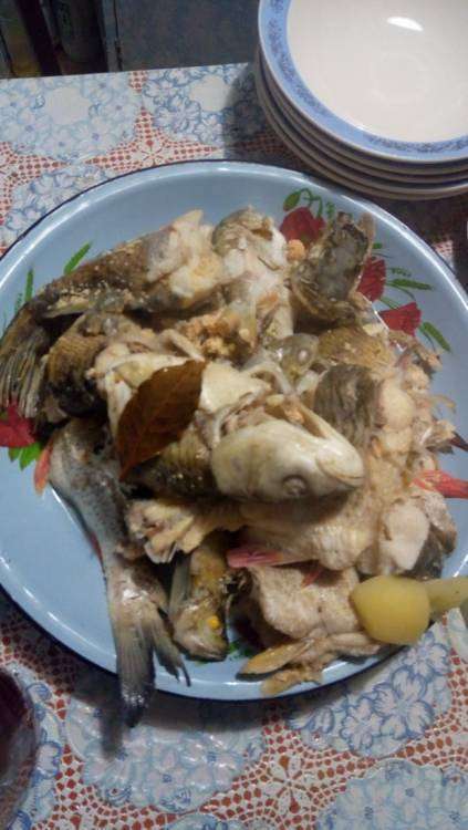 P_20170907_205907_новый размер.jpg