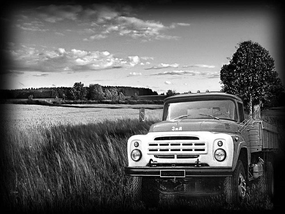 зил на поле пшеницы и береза.jpg