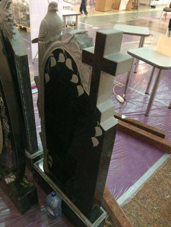 голубь 1-612x816.JPG