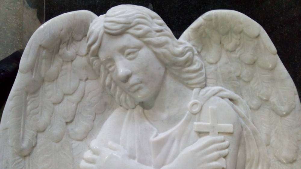 P_20171108_101654_новый размер.jpg