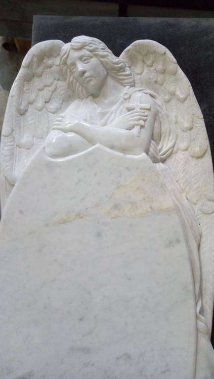 P_20171108_102053_новый размер.jpg