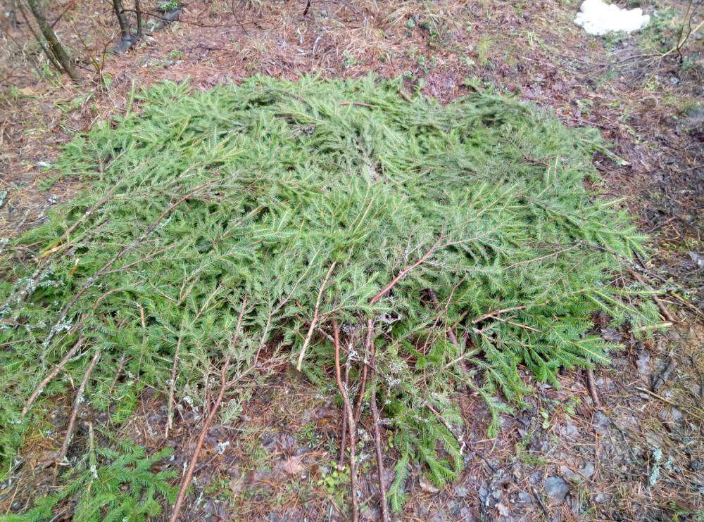 P80422-155100_новый размер.jpg