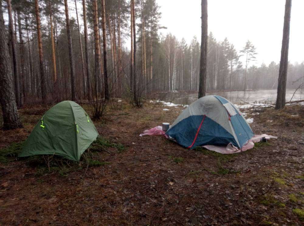 P80422-163514_новый размер.jpg