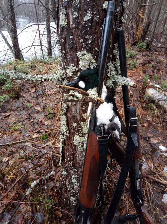 P80422-144206_новый размер.jpg