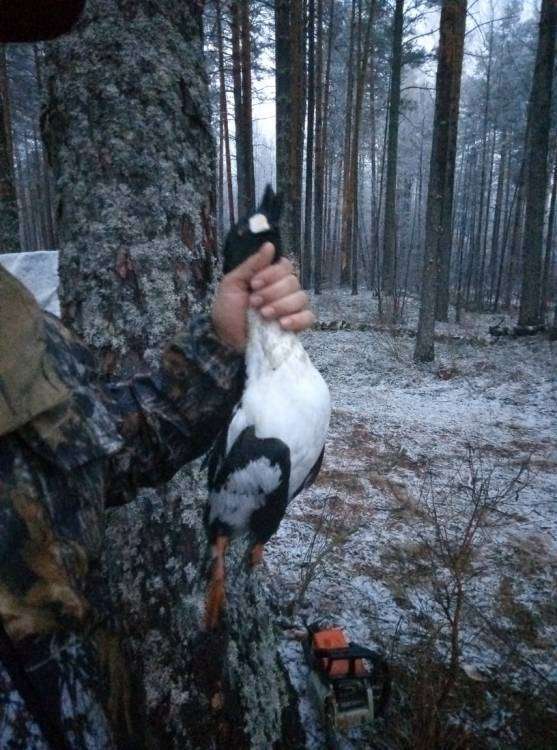 P80422-192023_новый размер.jpg