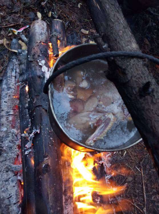 P80422-164757_новый размер.jpg