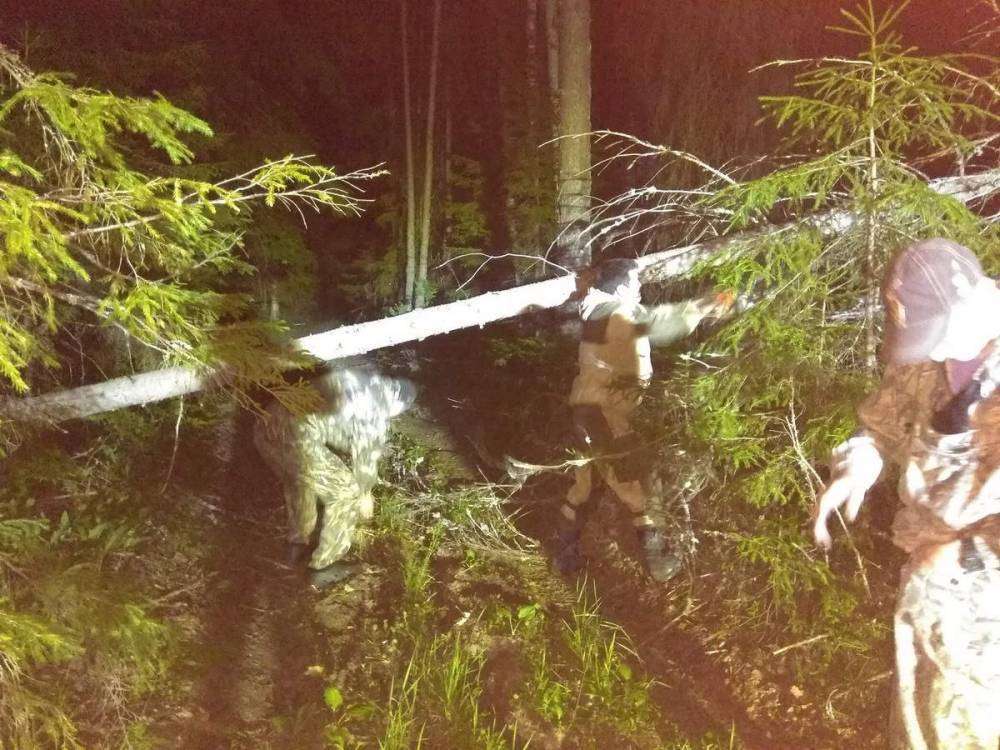 IMG_20180621_225823_новый размер.jpg