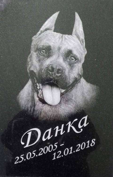 2 Львов - копия.jpg