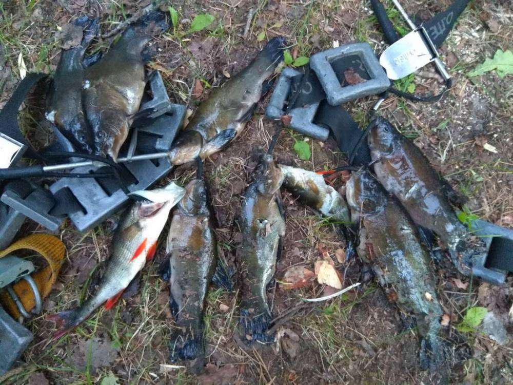 IMG_20180622_030808_новый размер_новый размер.jpg