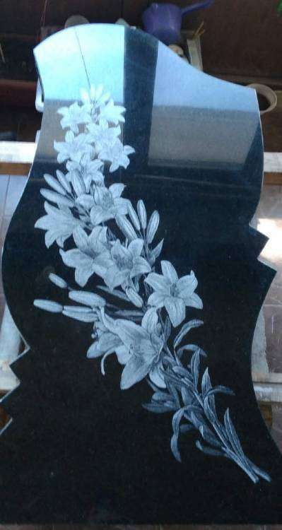 ЛИЛИИ НА ПАМ.jpg