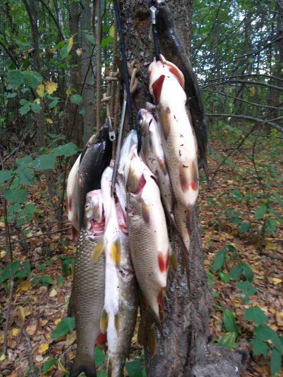 IMG_20180822_172035_новый размер.jpg