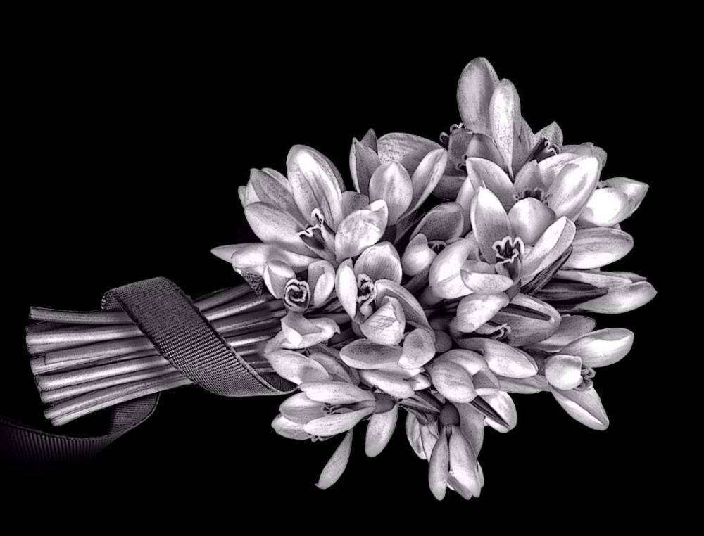 ПОДСНЕЖНИКИ 10.jpg