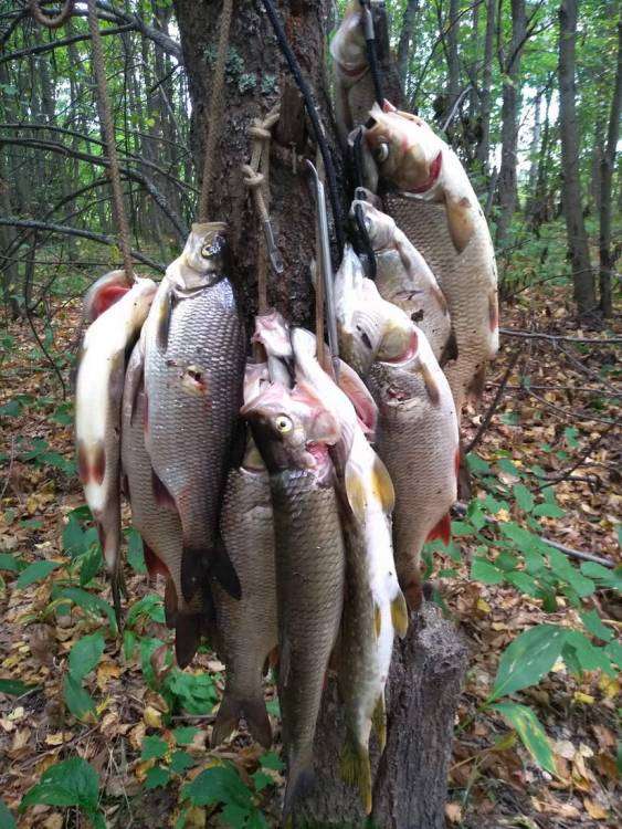 IMG_20180822_172026_новый размер.jpg