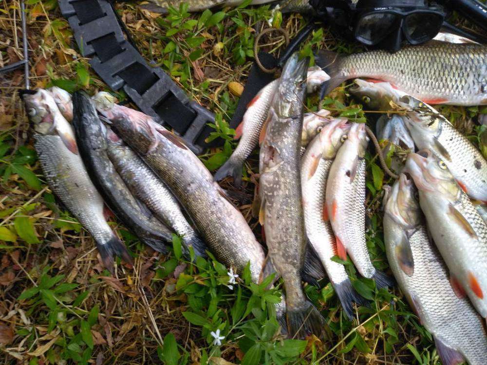 IMG_20180902_153356_новый размер.jpg