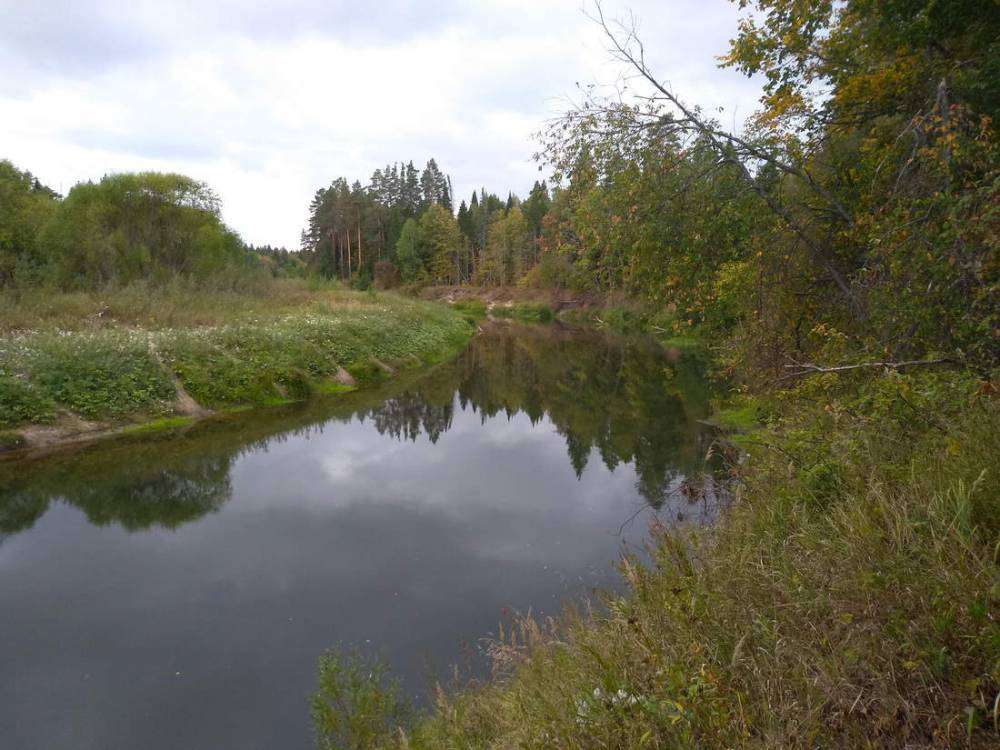 IMG_20180902_153422_новый размер.jpg