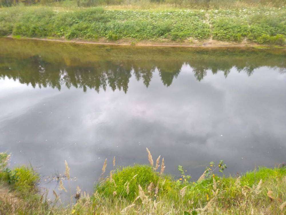 IMG_20180902_153429_новый размер.jpg