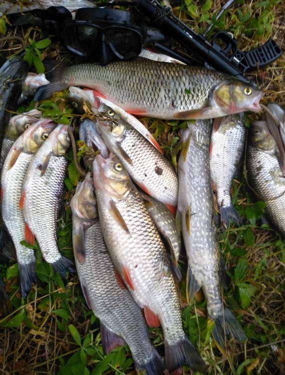 IMG_20180902_153352_новый размер.jpg