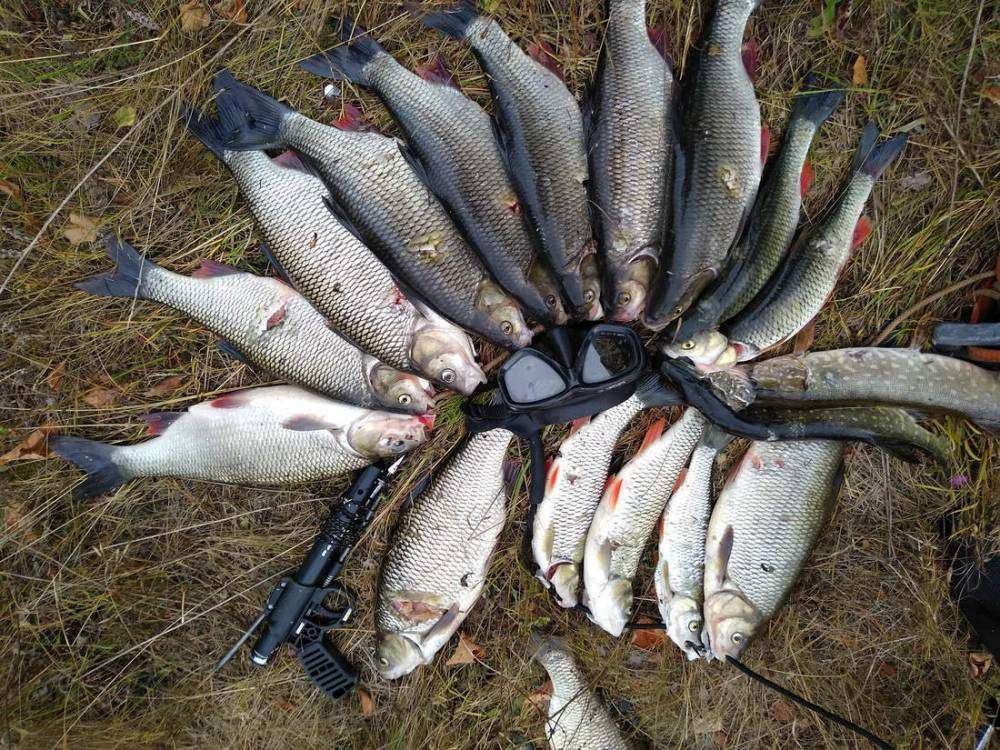 IMG_20180909_154738_новый размер.jpg