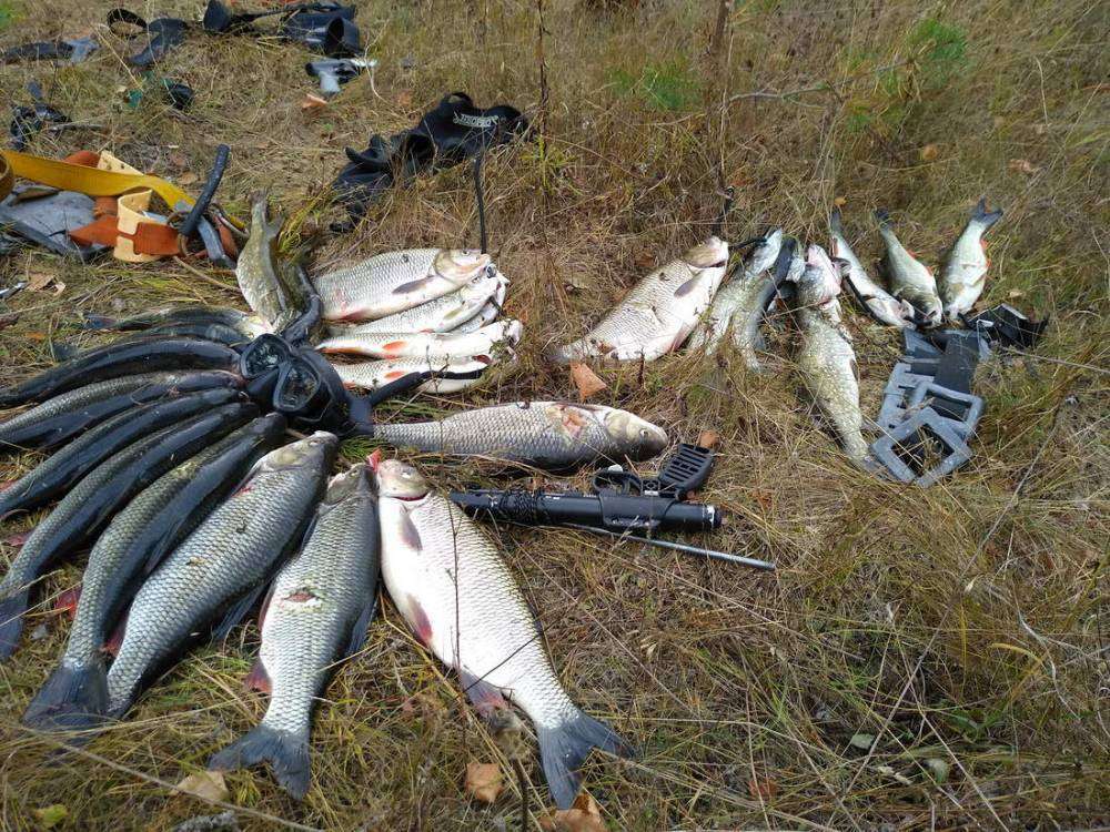 IMG_20180909_154806_новый размер.jpg