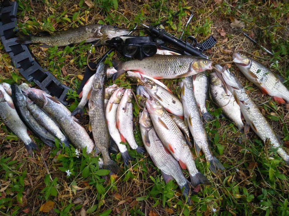 IMG_20180902_153343_новый размер.jpg