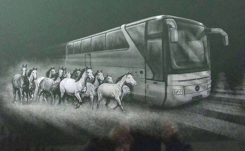 20181027_152723-1-1-1 - копия.jpg