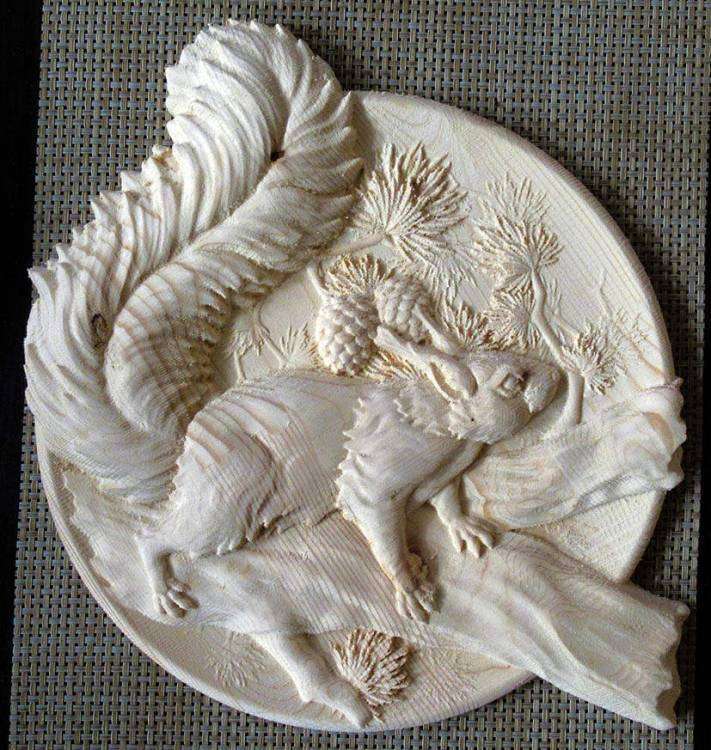 тарелка белка.jpg