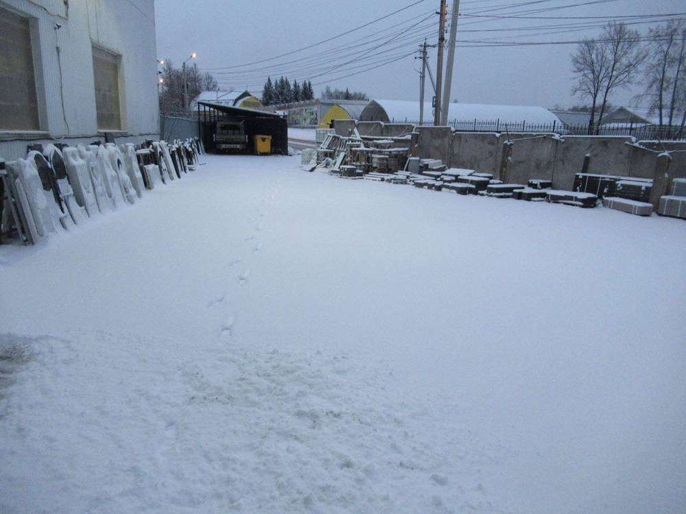 зима 26 ноября 2018.jpg