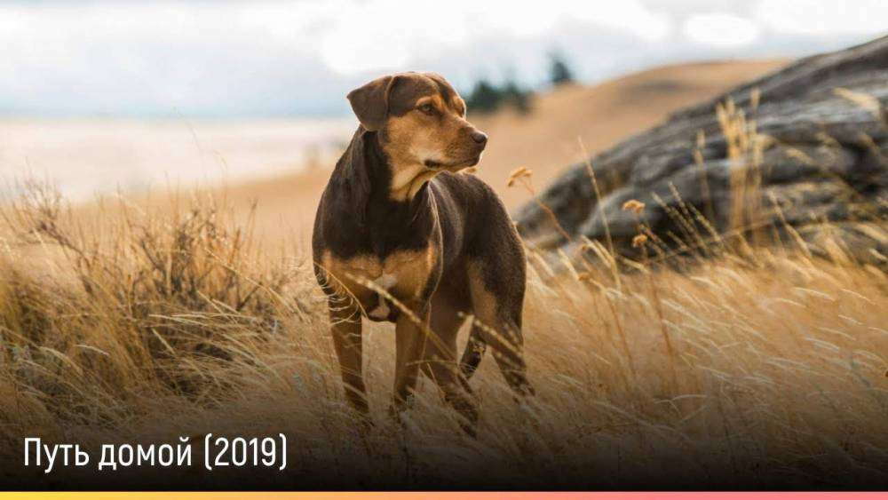 maxresdefault (1).jpg