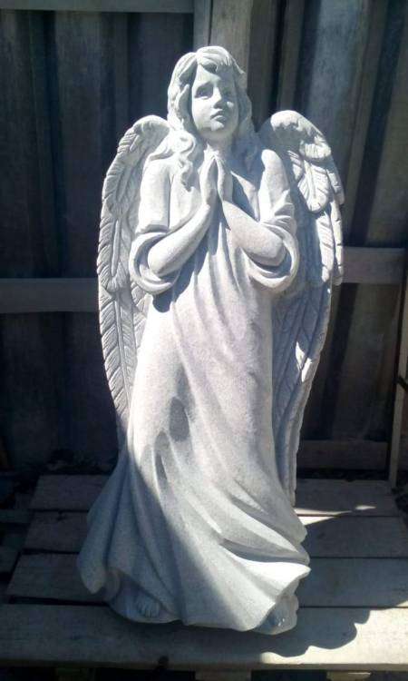IMG-20190515-WA0000.thumb.jpg.27f73644e7c1b3fdfd4439c4a8a38dd7.jpg