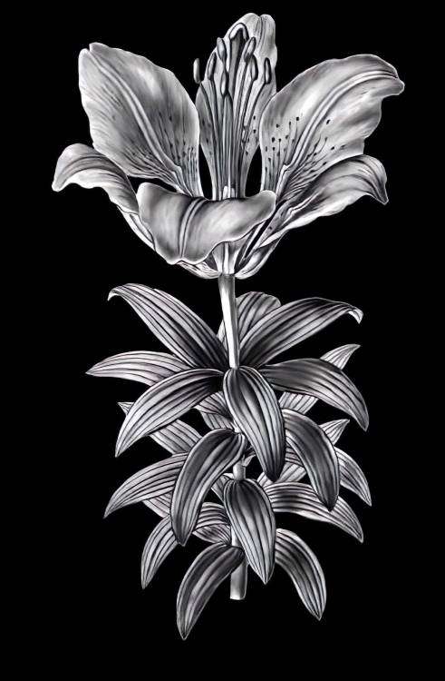 Цветы - 824шт_01-edit.jpeg