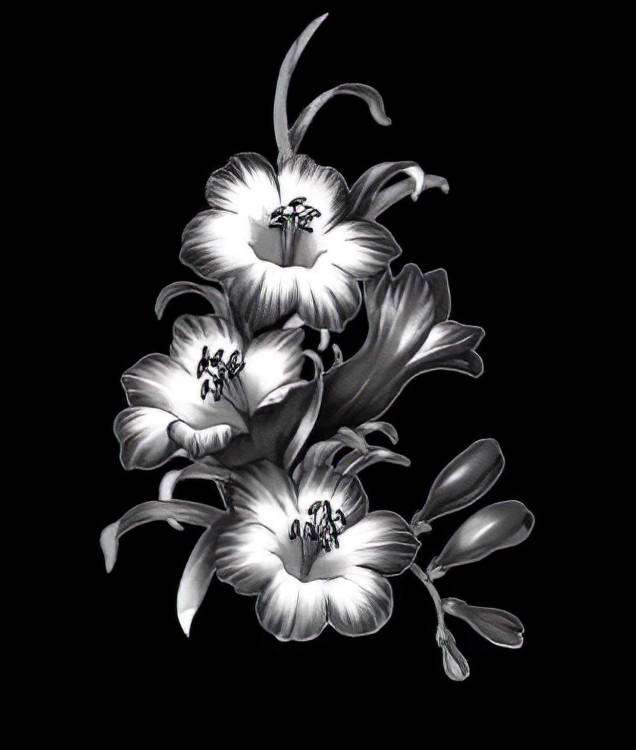 Цветы - 824шт_02-edit.jpeg