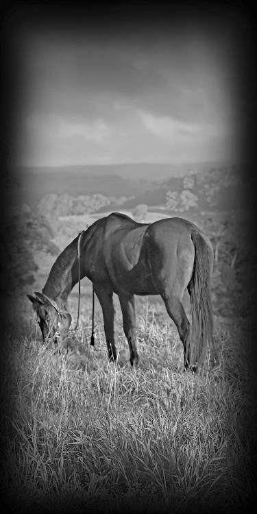 Андреев макет спина.jpg